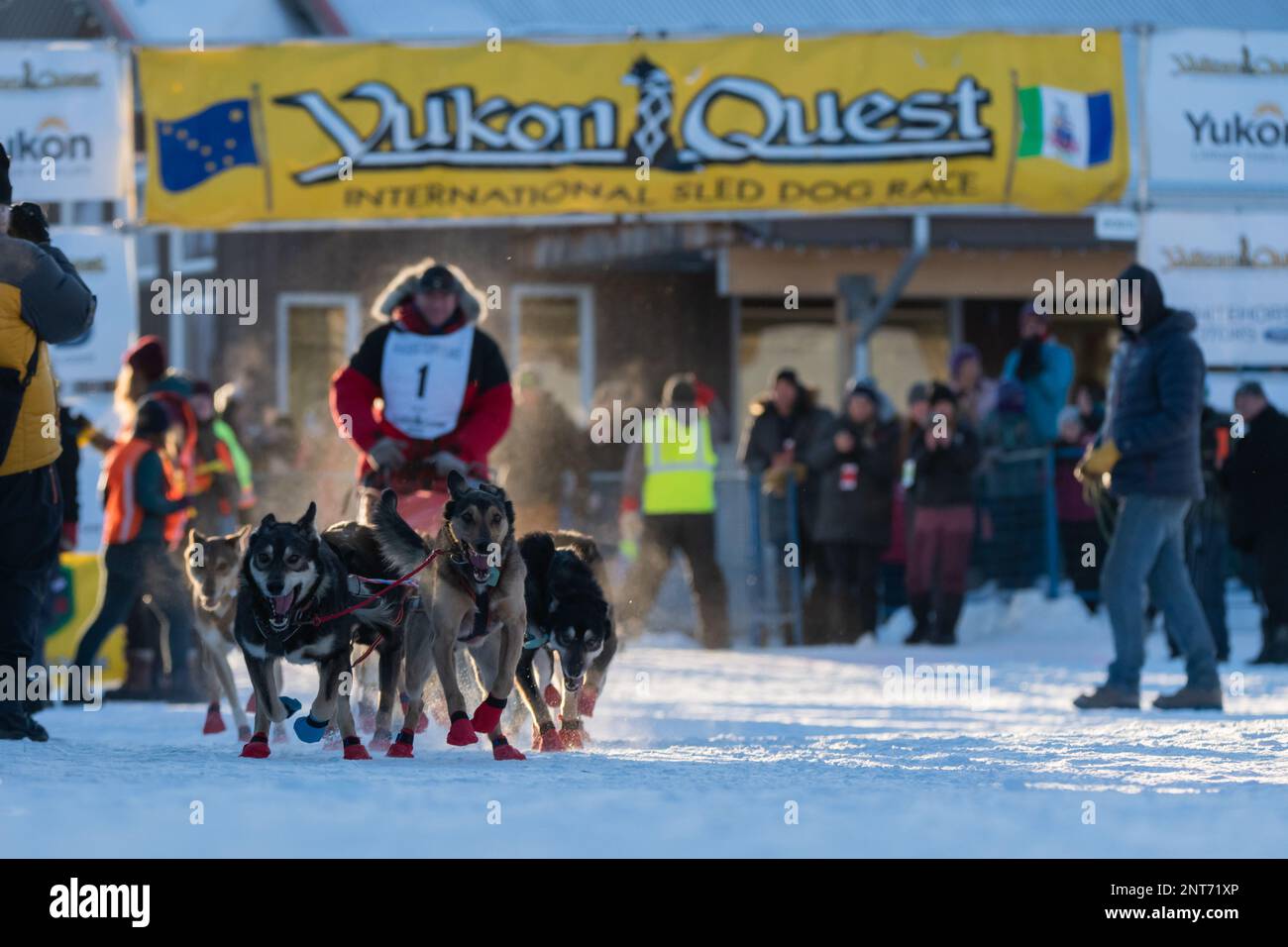 Quest for fun horse hi-res stock photography and images - Alamy