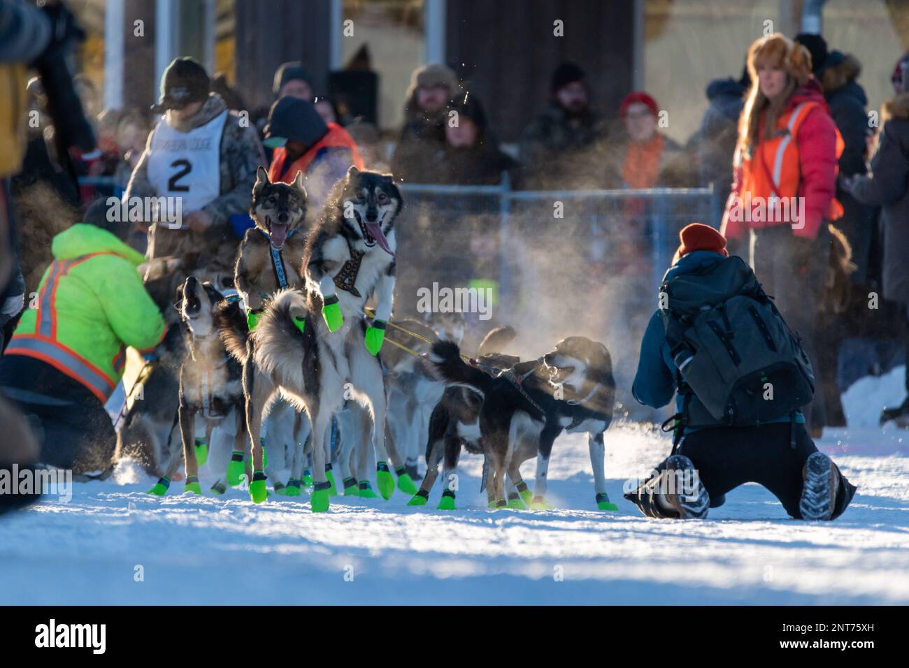 Whitehorse, Yukon Territory, Canada February 11th 2023 YUKON QUEST