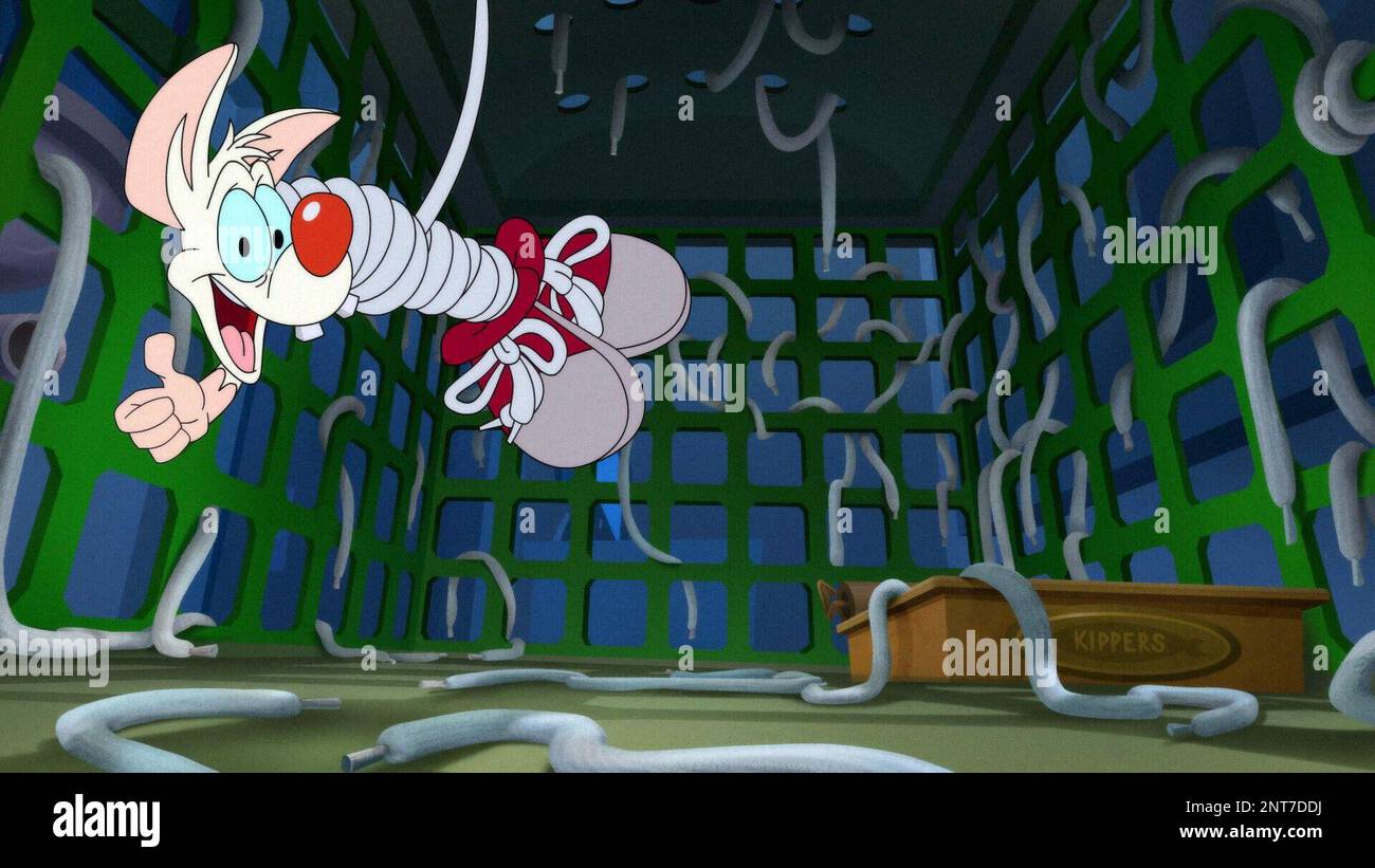 ANIMANIACS, Pinky (voice: Rob Paulsen), 'Previously On/Season 3 and WB ...