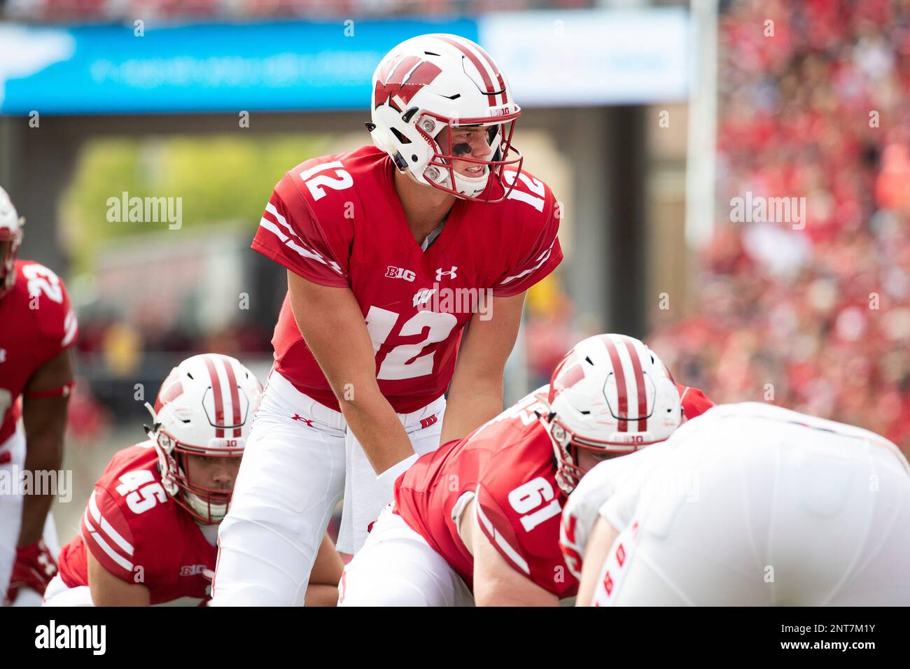 Wisconsin Badgers quarterback Alex Hornibrook (12) during an NCAA