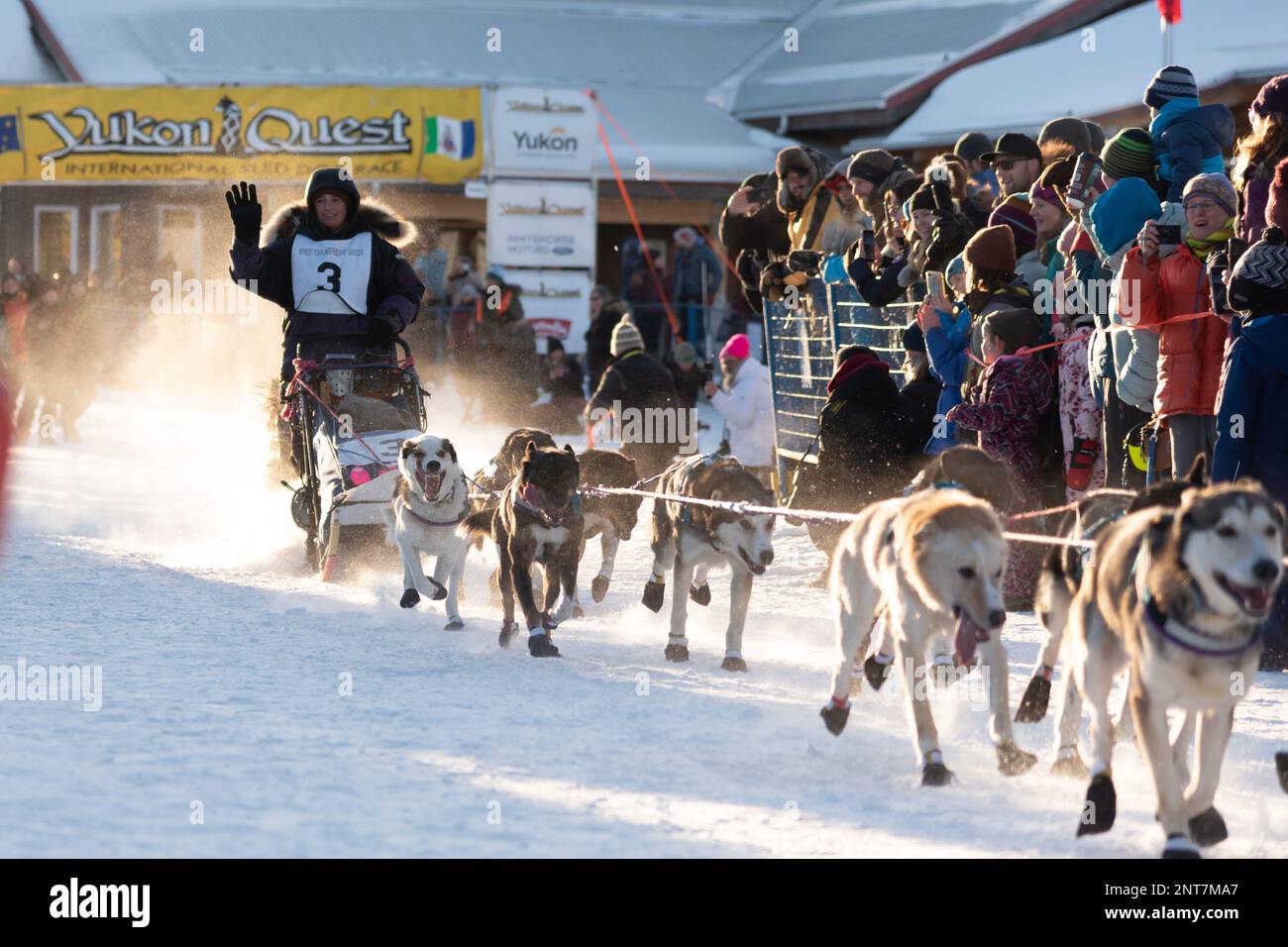 Whitehorse, Yukon Territory, Canada February 11th 2023 YUKON QUEST