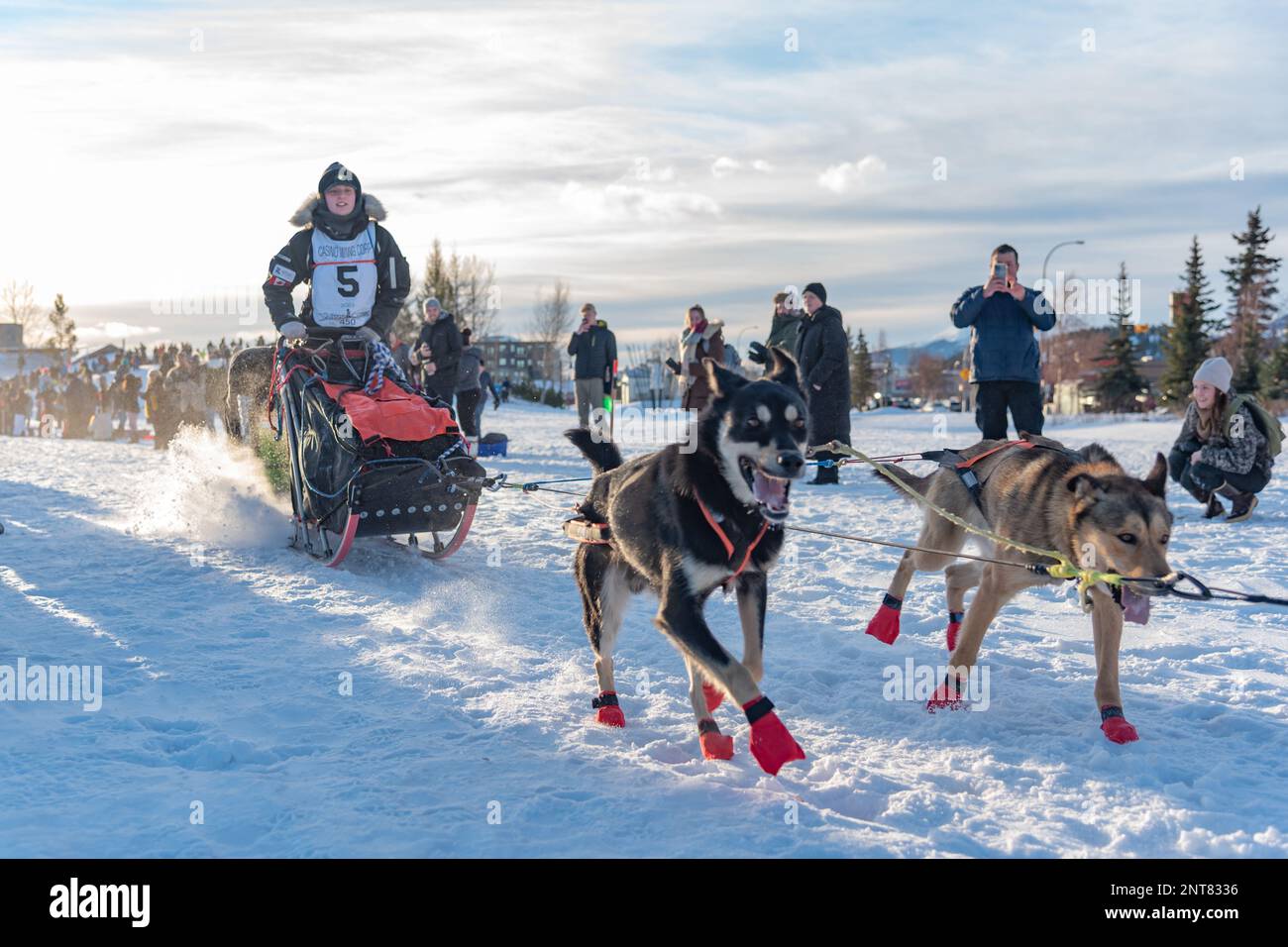 Whitehorse, Yukon Territory, Canada February 11th 2023 YUKON QUEST