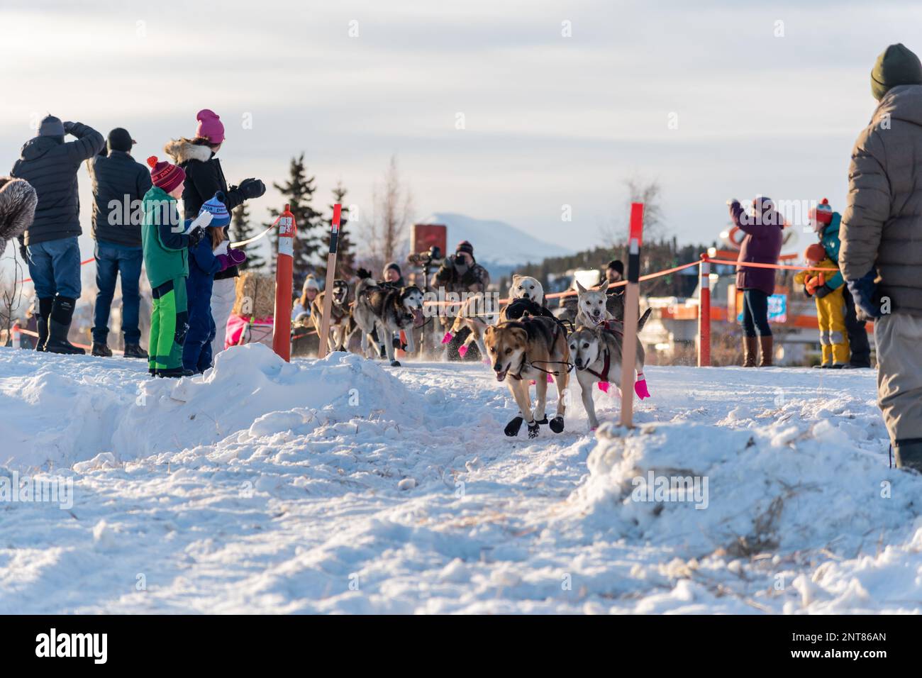 Whitehorse, Yukon Territory, Canada February 11th 2023 YUKON QUEST