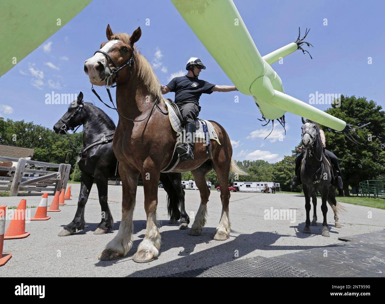 Officer Ron Zaleski challenges his horse Maddie with an inflatable "air
