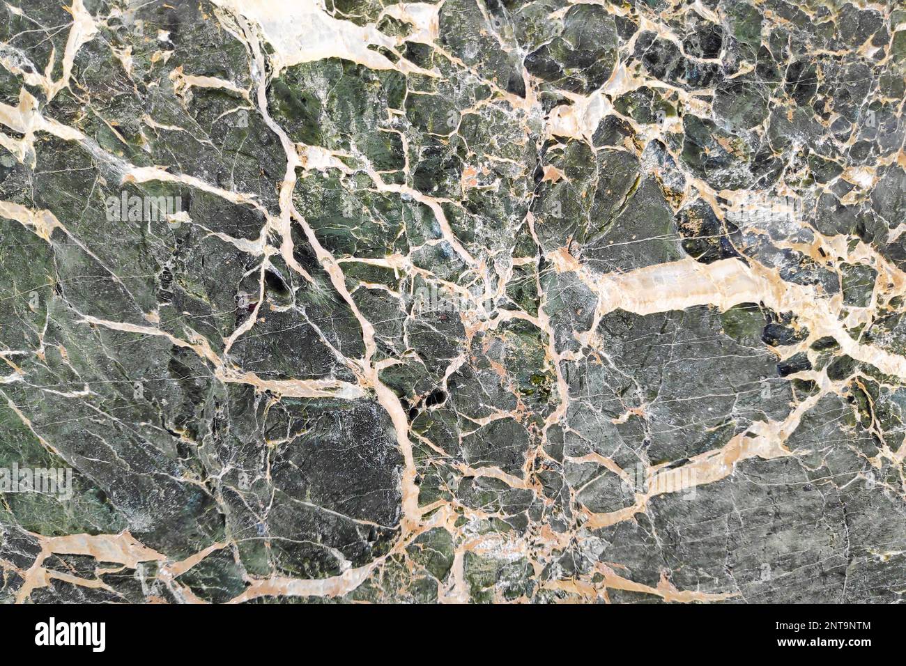 Close-up on a green marble textured background. Stock Photo