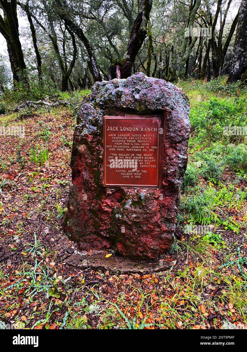 Jack parks hi-res stock photography and images - Alamy