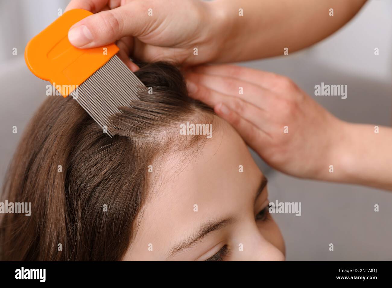 Mother using nit comb on her daughter's hair indoors. Anti lice