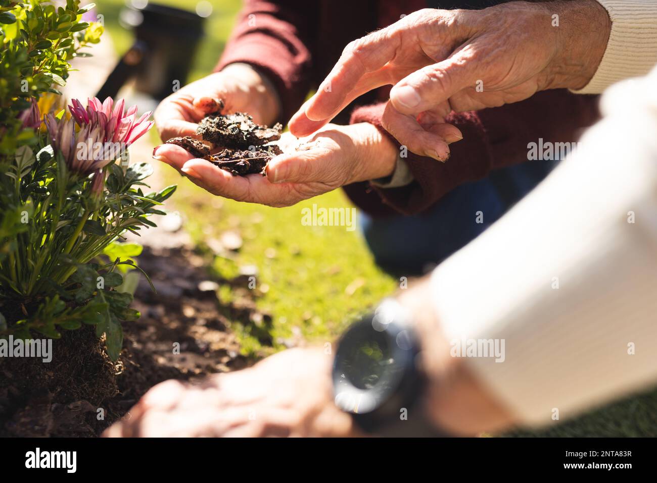 Couple gardening fun hi-res stock photography and images - Alamy