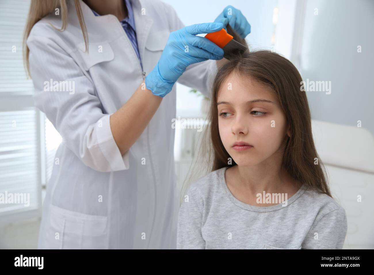 Doctor using nit comb on girl's hair in clinic. Anti lice treatment