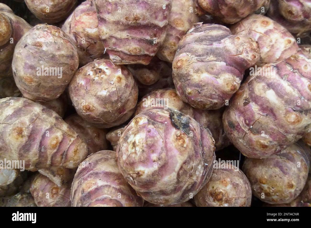 Closeup on a stack of Jerusalem artichokes for sale on a market stall