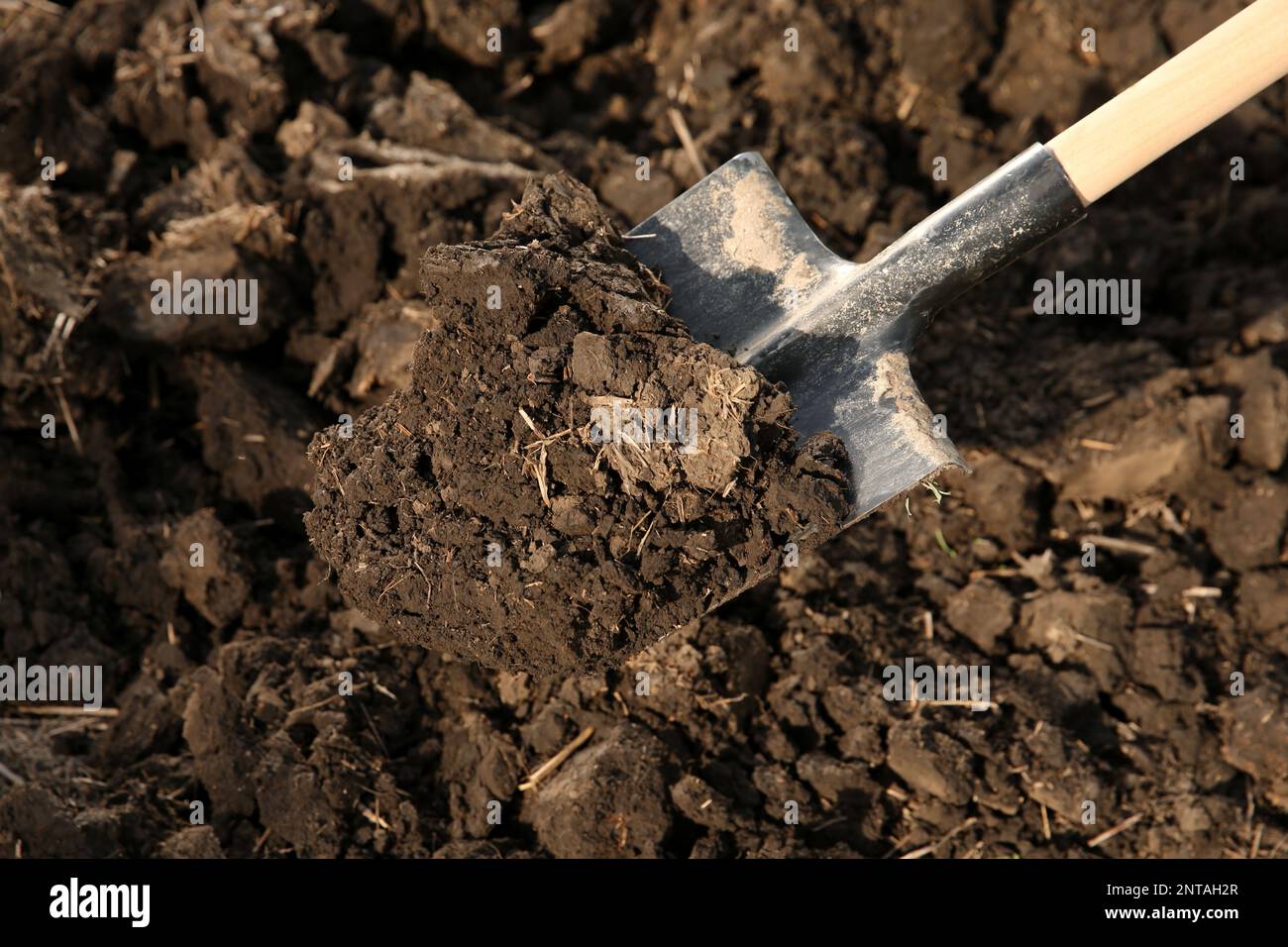 Digging soil with shovel outdoors. Gardening tool Stock Photo Alamy