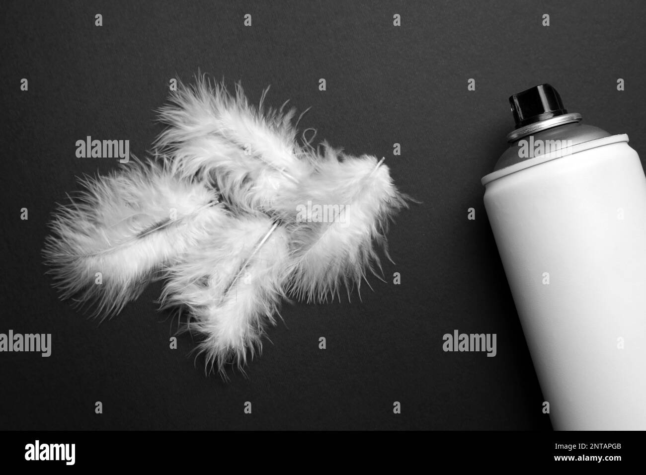 Can of spray paint and feathers on black background, flat lay. Graffiti supply Stock Photo Alamy
