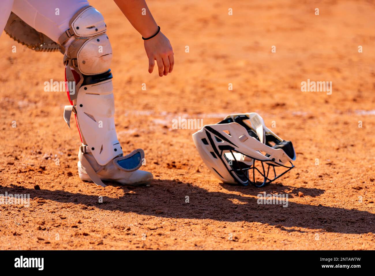 Softball catcher picking up the helmet from the ground Stock Photo Alamy