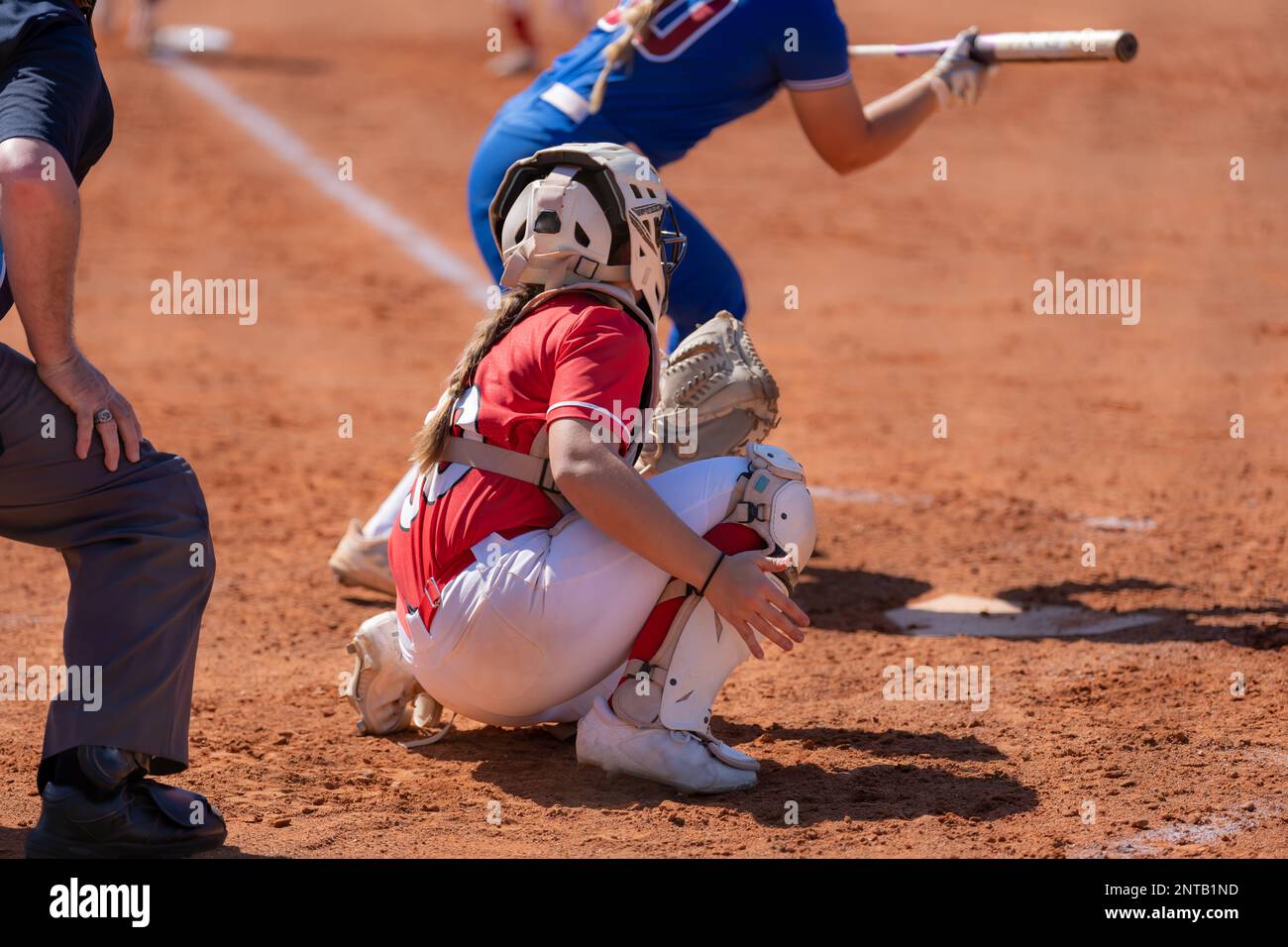Fastpitch softball catcher with batter attempting a bunt. Stock Photo