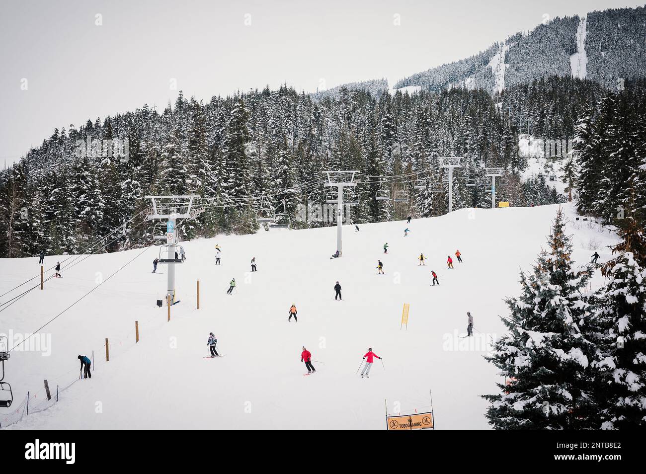 Tourists ski down Whistler mountain into the Whistler Village on a snowy winter afternoon.  Whistler BC, Canada. Stock Photo