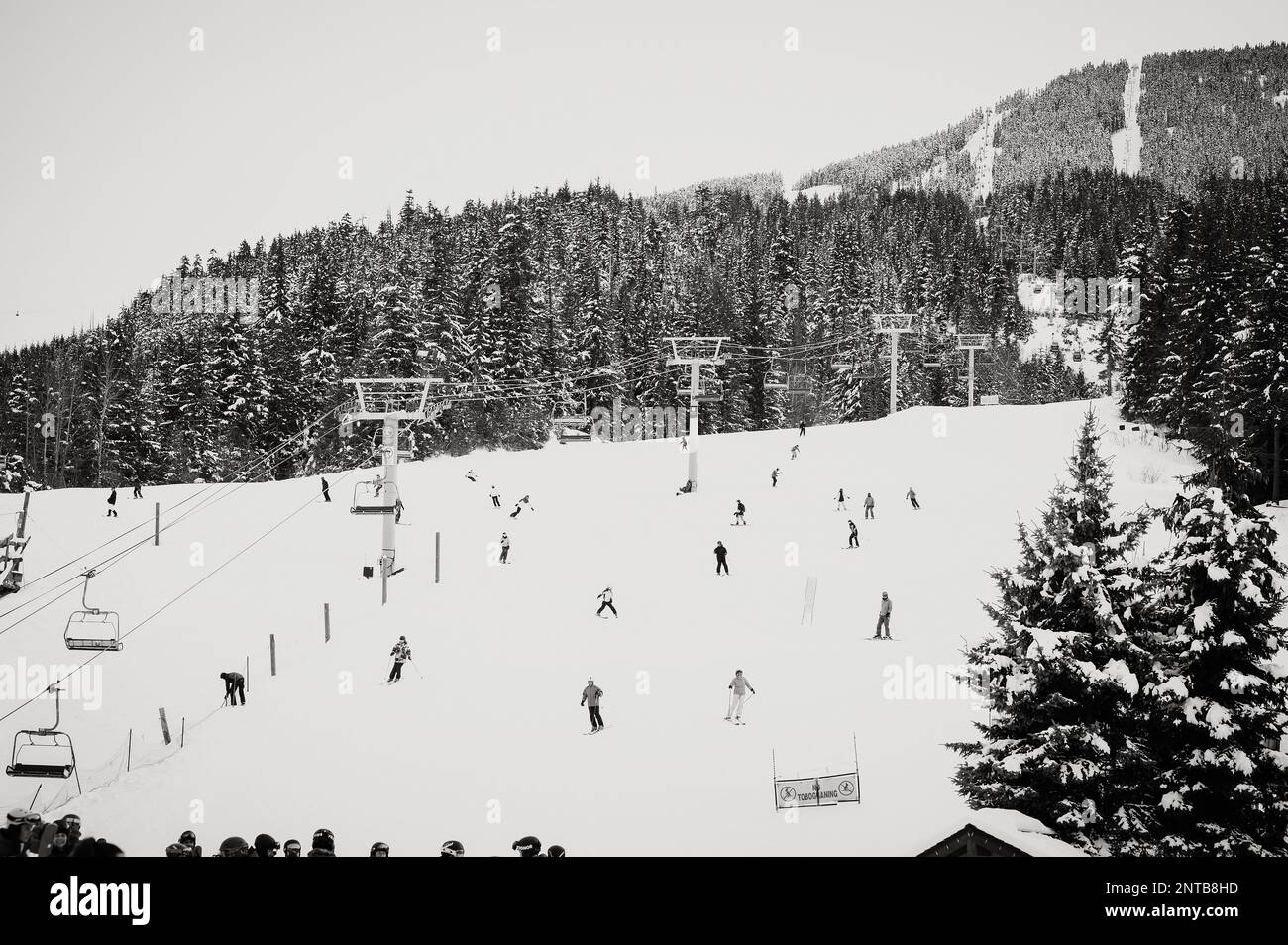 Black and white image of tourists skiing down Whistler mountain into the Whistler Village on a snowy winter afternoon.  Whistler BC, Canada. Stock Photo