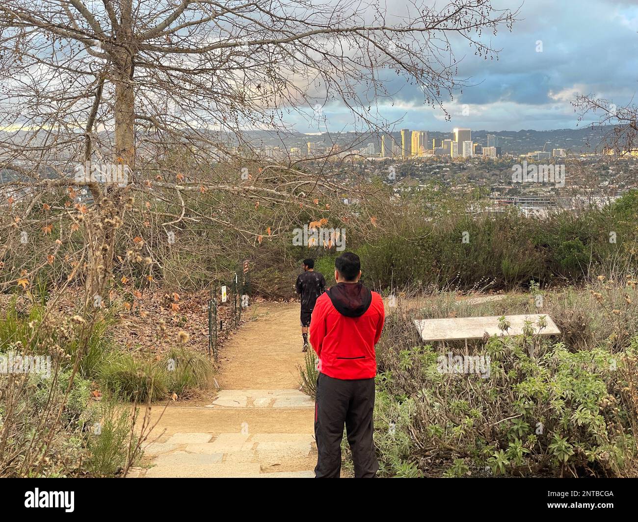 View from the Baldwin Hills Overlook in Los Angeles, CA Stock Photo Alamy