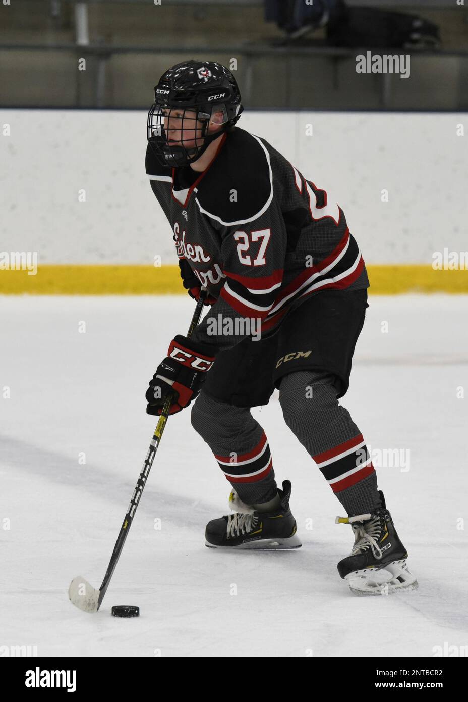PRIOR LAKE, MN DEC 29 Eden Prairie Eagles defenseman Luke
