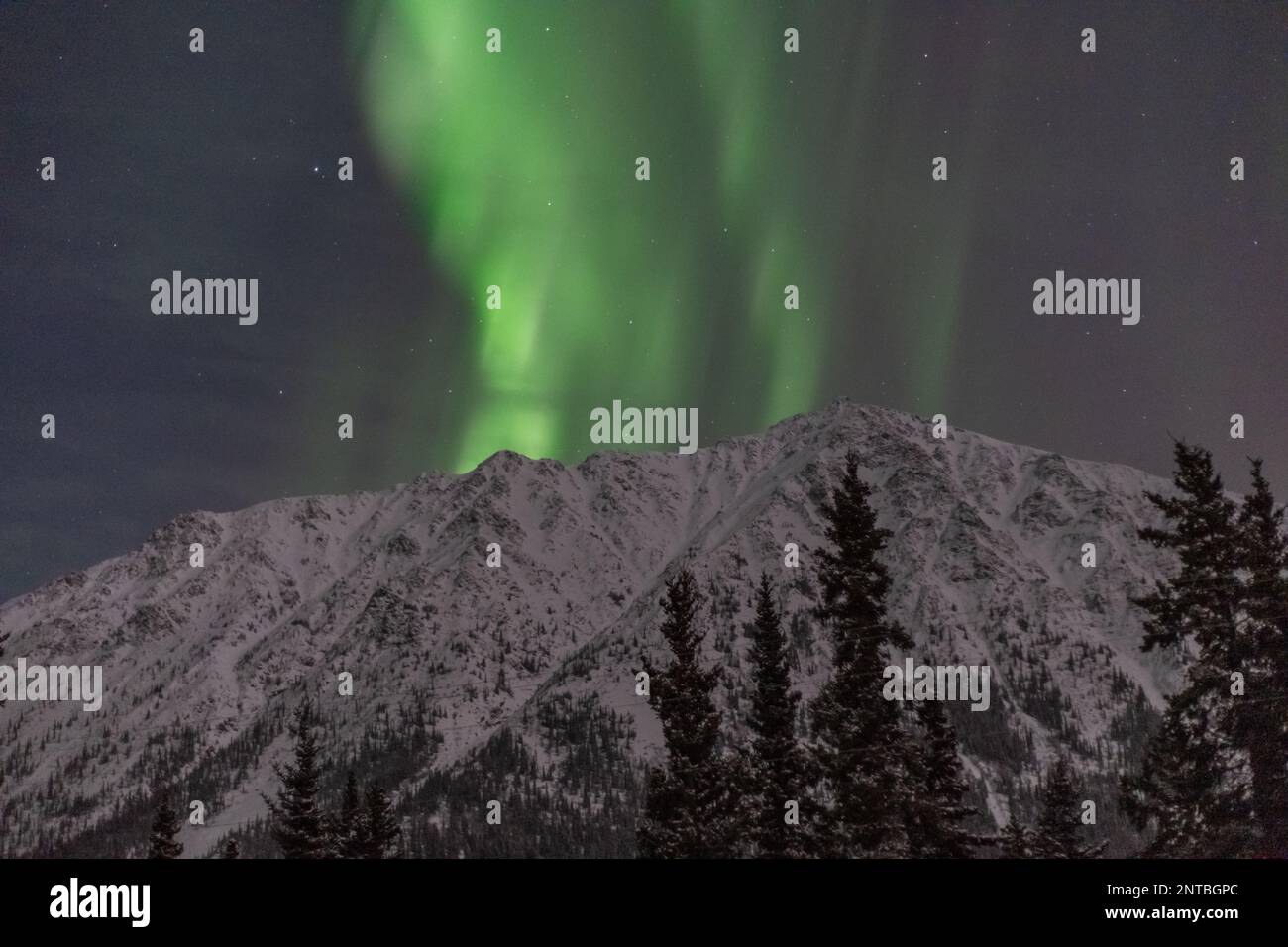 Aurora Borealis seen in northern Canada during winter time with snow