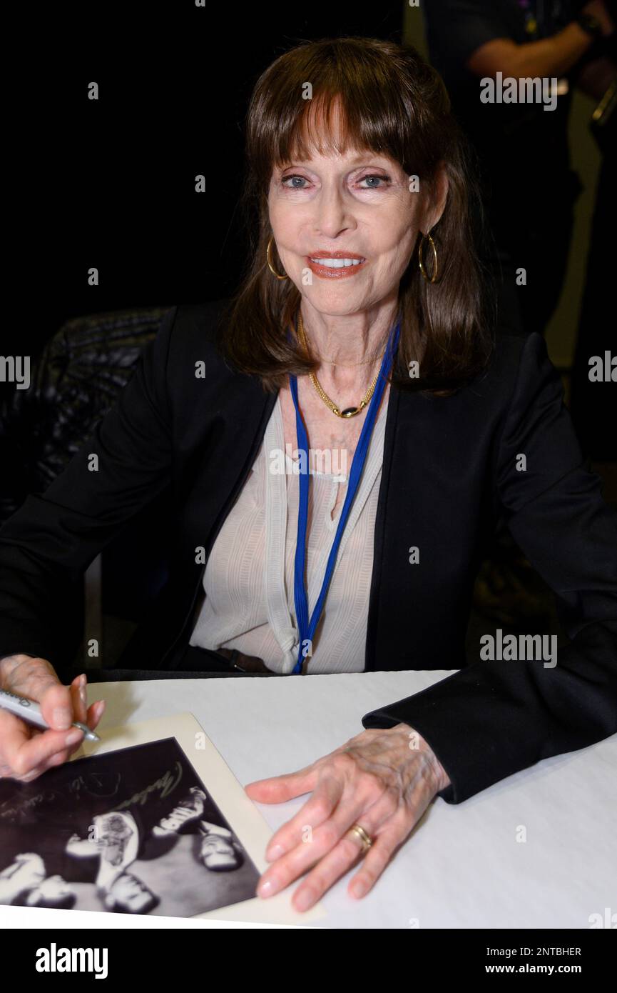 SYDNEY, NSW JUNE 21 Get Smart star Barbara Feldon at Supanova Comic