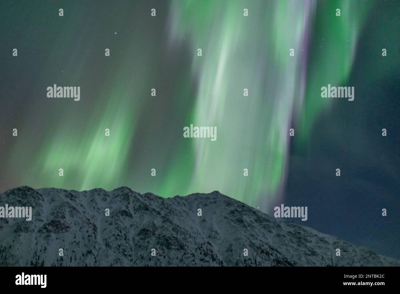 Aurora Borealis seen in northern Canada during winter time with snow