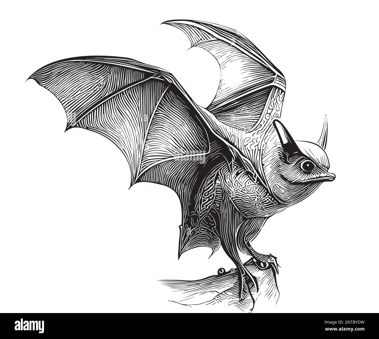 Bat flying hand drawn sketch Vector illustration Halloween Stock Vector