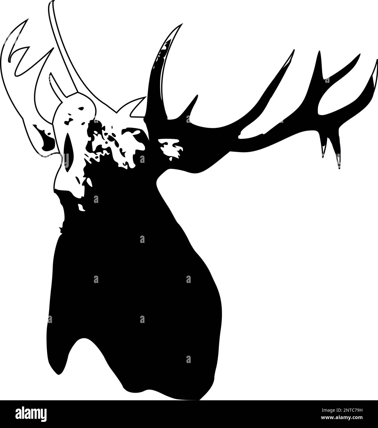 Roaring Red deer (Cervus elaphus) head and antlers portrait isolated on