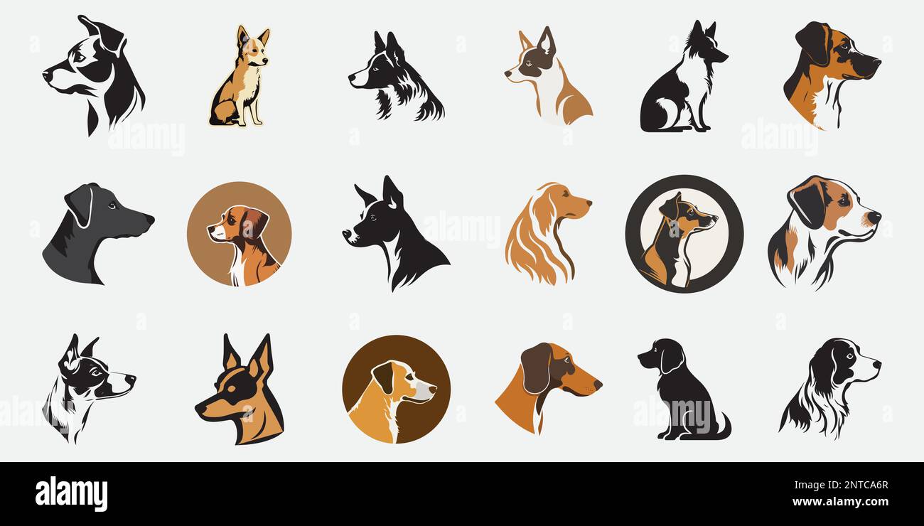 Different type of vector cartoon dogs Stock Vector