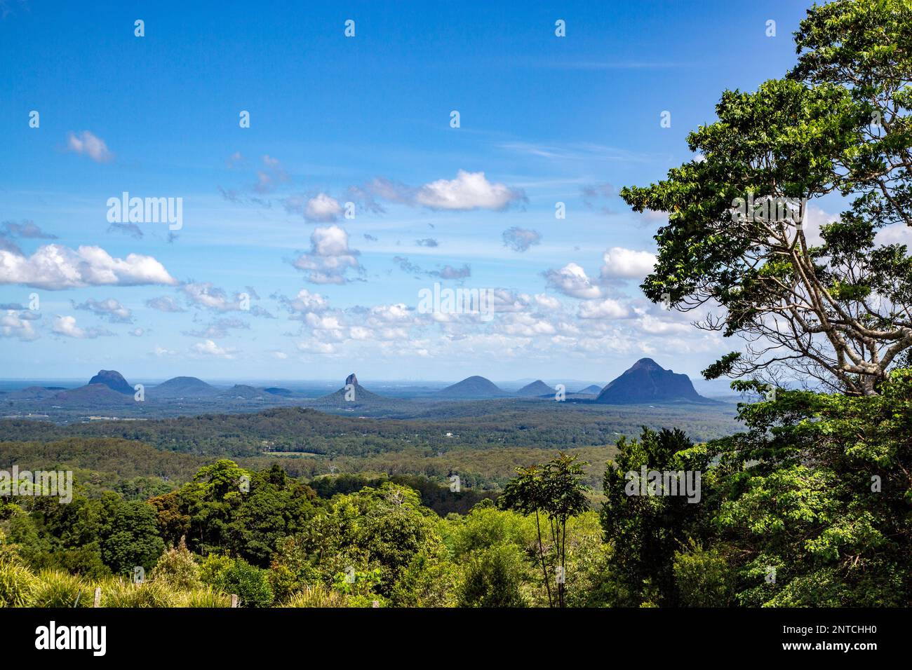 View of the Glass House Mountains from the Maleny Botanic Gardens, 19km away in a straight line. Stock Photo