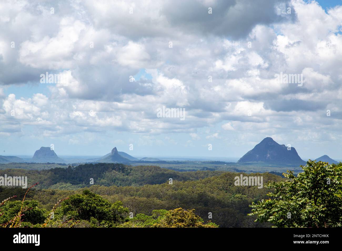 View of the Glass House Mountains from the Maleny Botanic Gardens, 19km away in a straight line. Stock Photo
