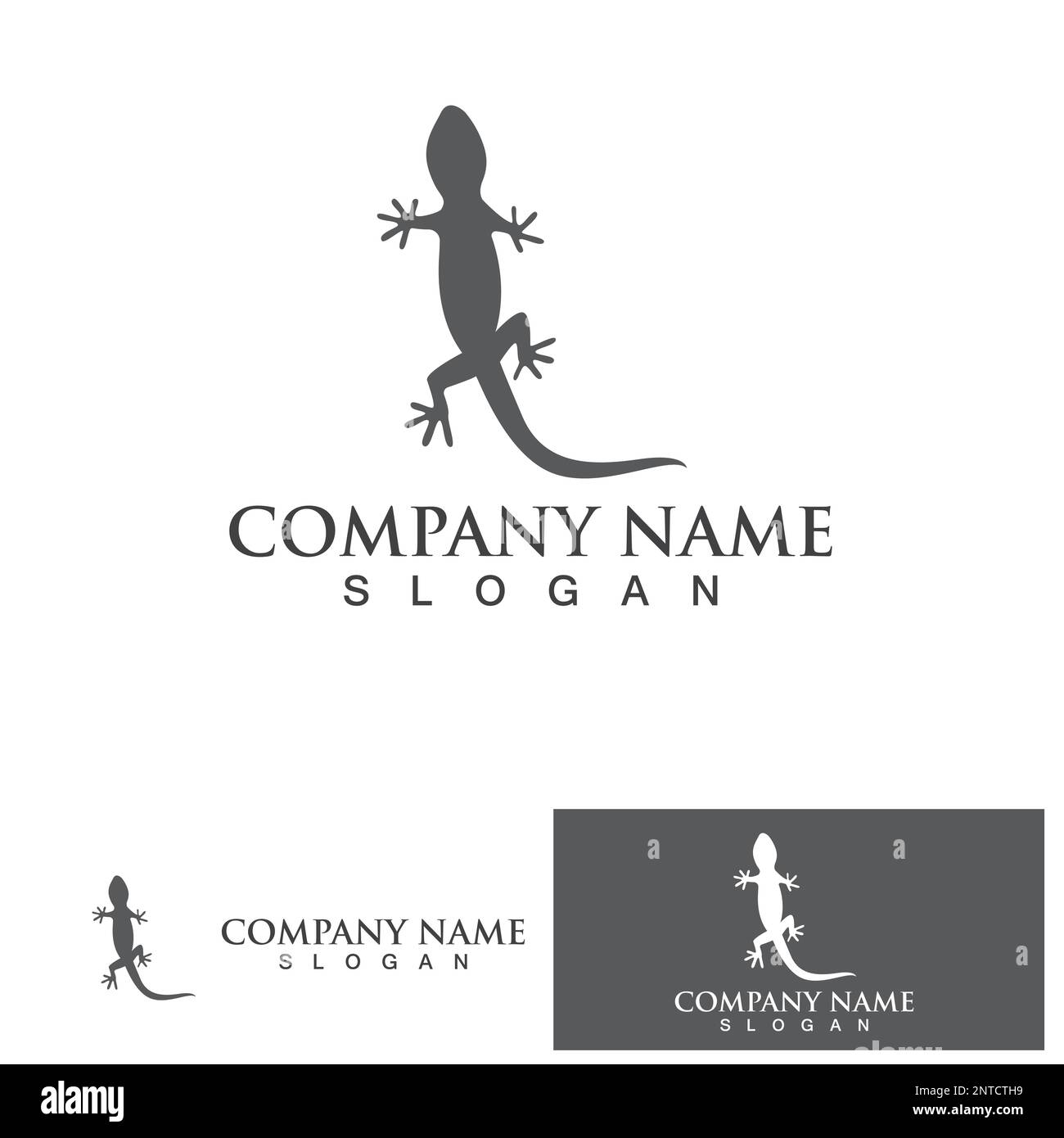 House lizard vector print template Stock Vector Image & Art Alamy
