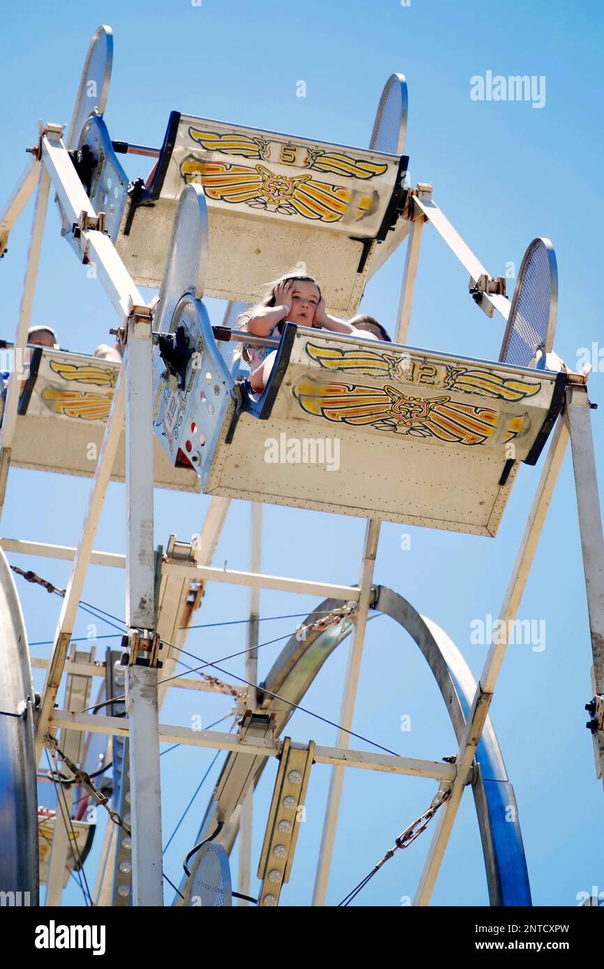 Visitors get a view from the top on the carousel at the annual Dalton