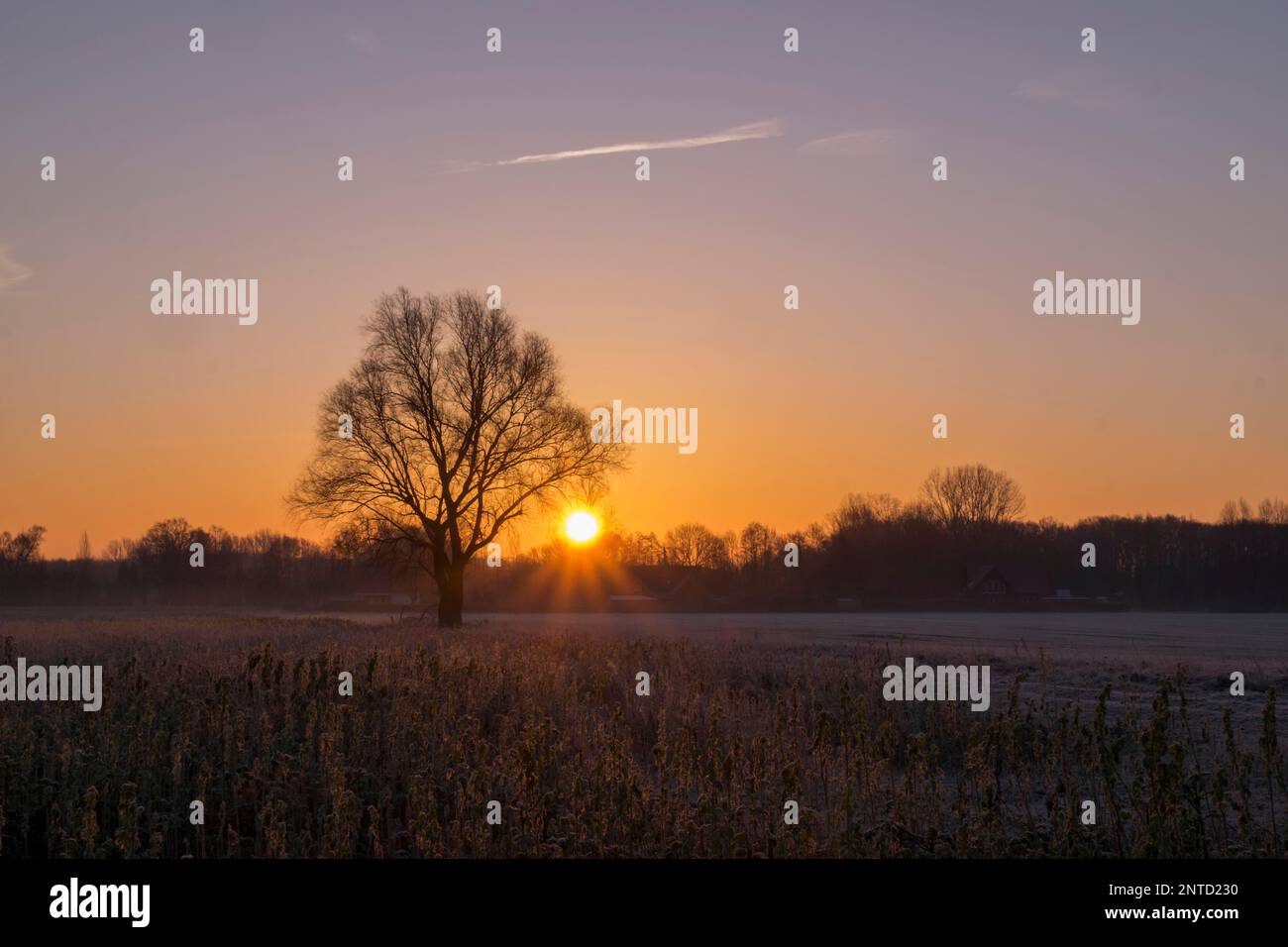 Sunrise in winter Stock Photo