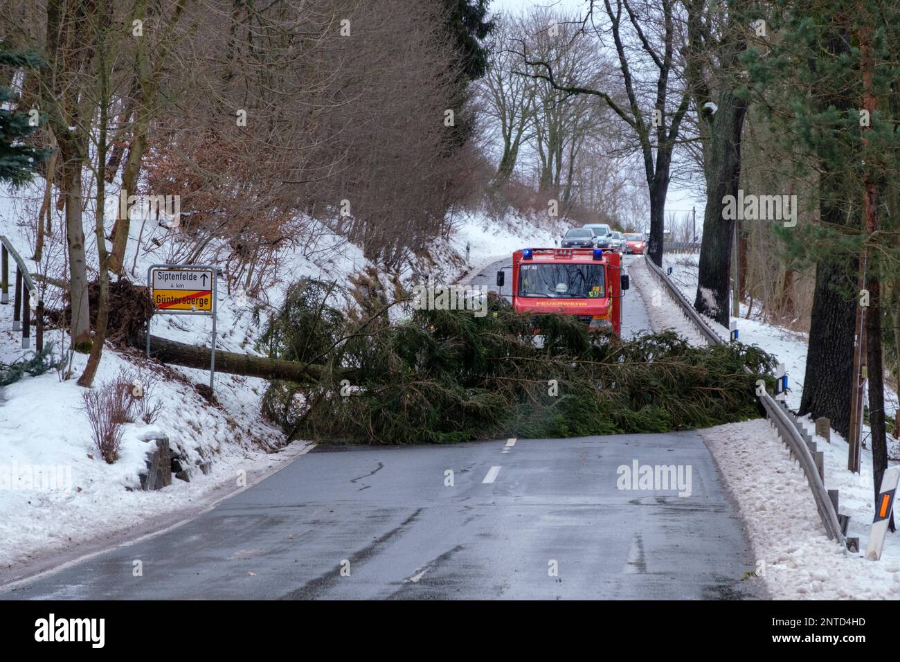 Road blocked by wind breakage is cleared by the fire brigade Stock Photo