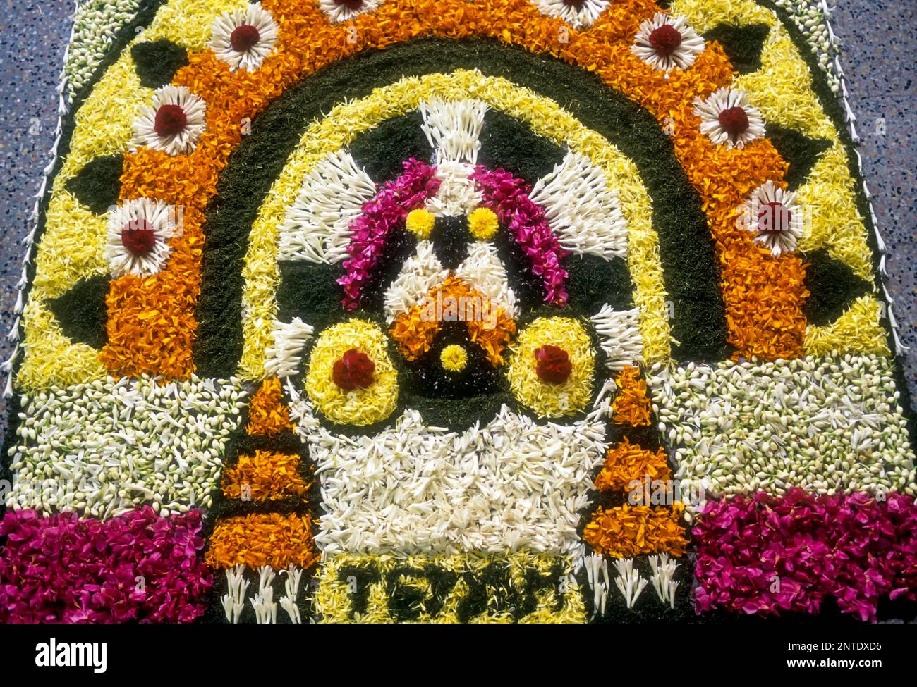 Floral decoration during Onam festival, Kerala, South India, India, Asia Stock Photo