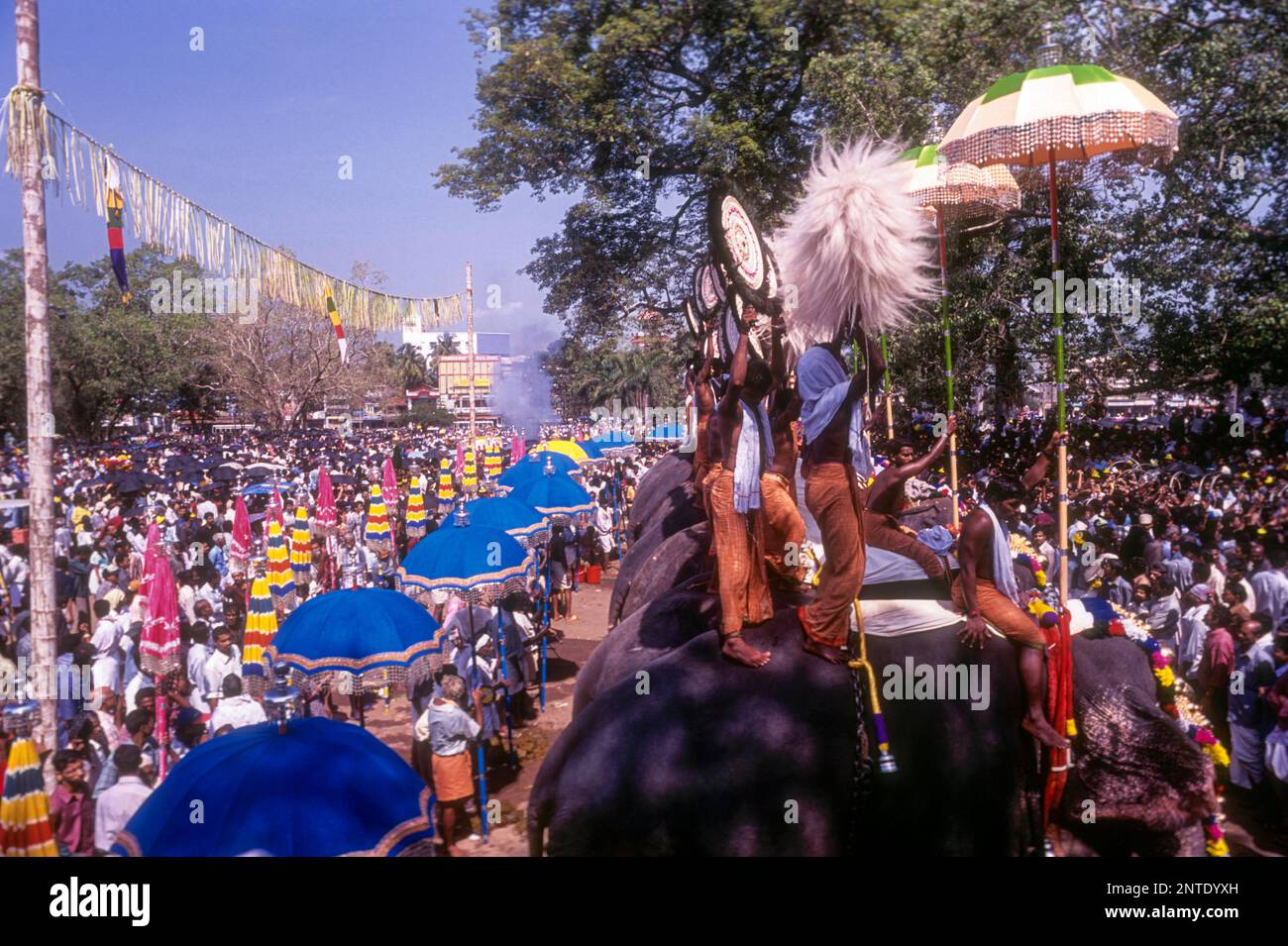 Pooram Festival in Thrissur Trichur, Kerala, South India, India, Asia ...