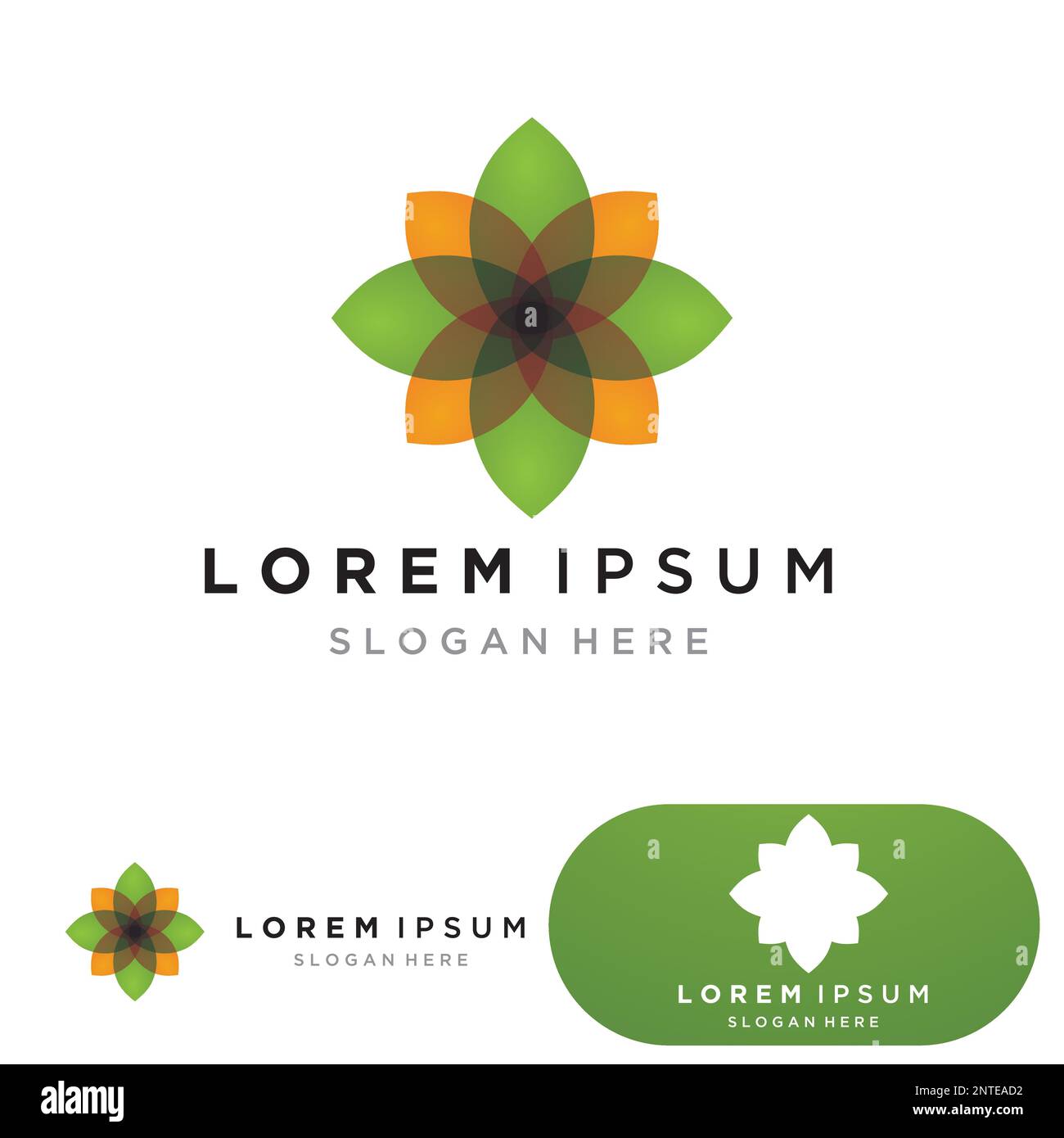 Flower logo. The circular logo. Logo of the flower. Stylized flower