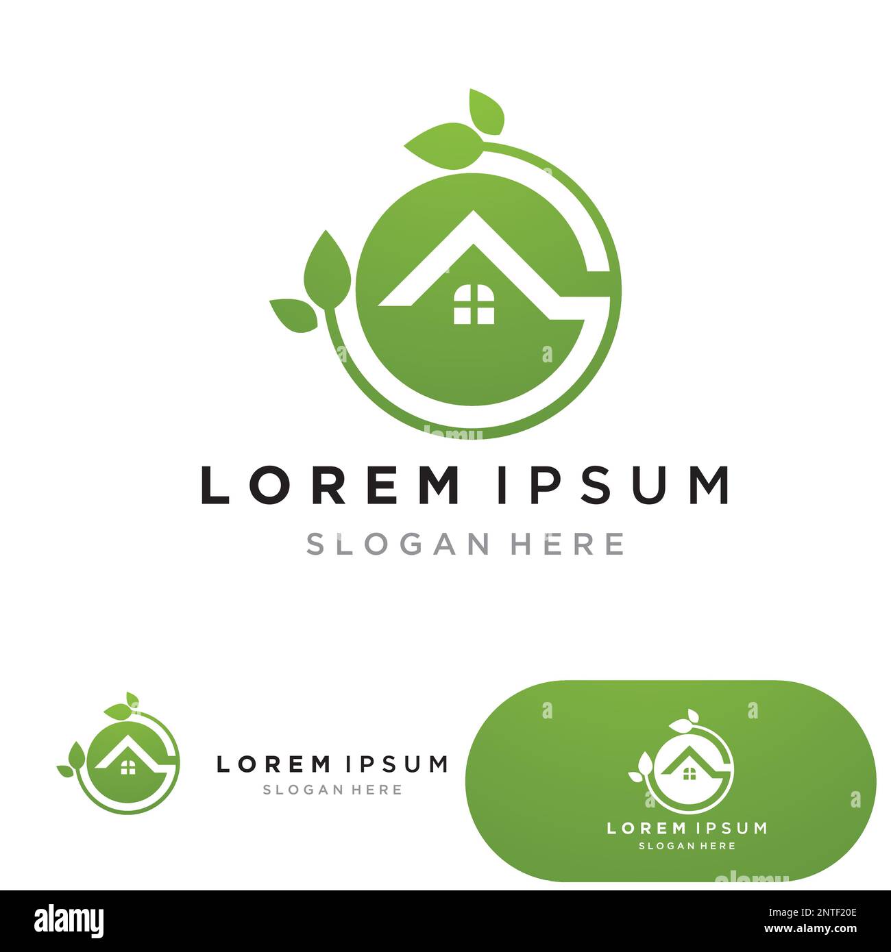 G home green eco leaf logo Stock Vector Image & Art - Alamy