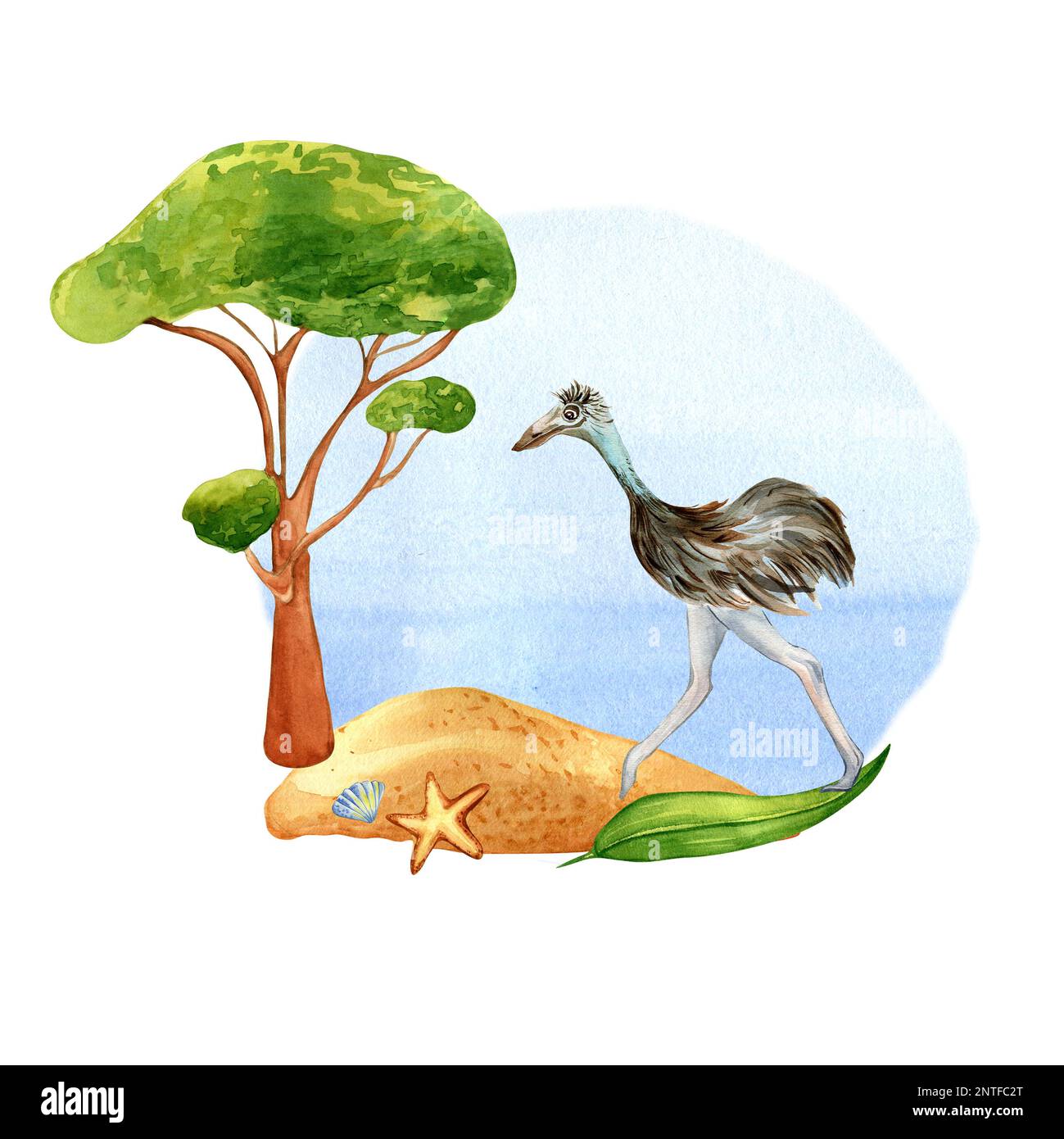 Cartoon ostrich on the beach watercolor illustration isolated on white background. Australian emu, seacoast hand drawn. Design element for print, wall Stock Photo