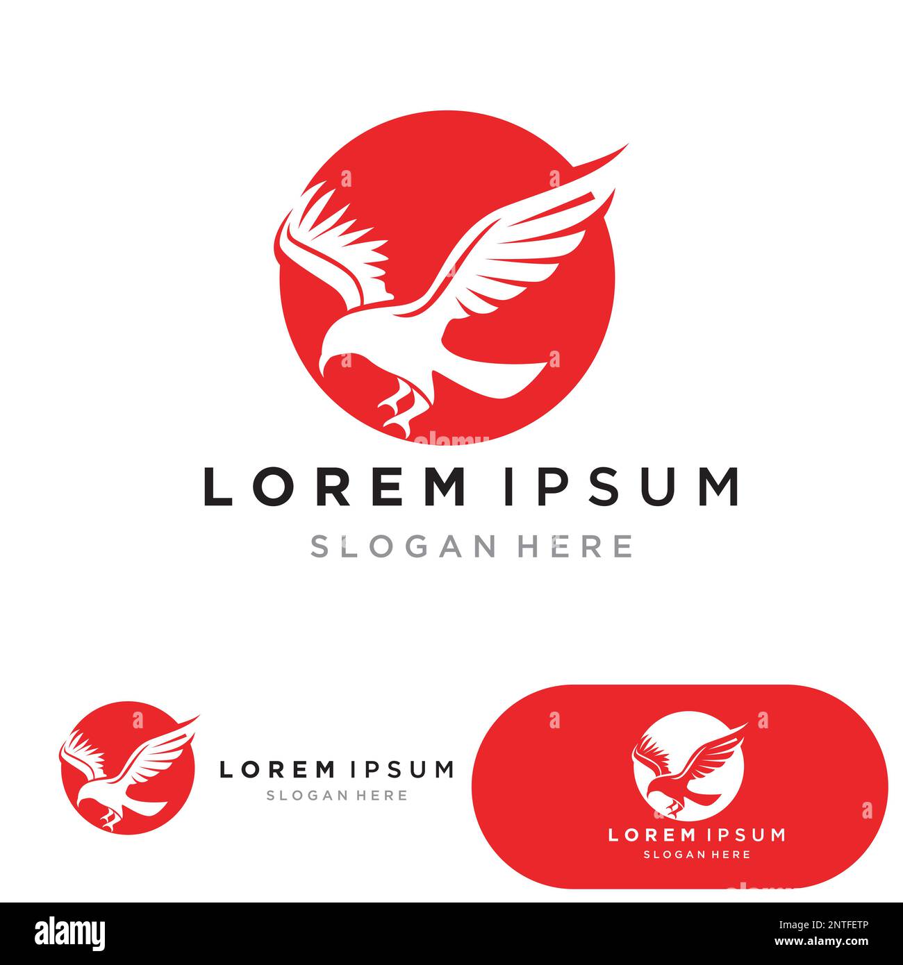 bird logo vector icon design template Stock Vector Image & Art - Alamy