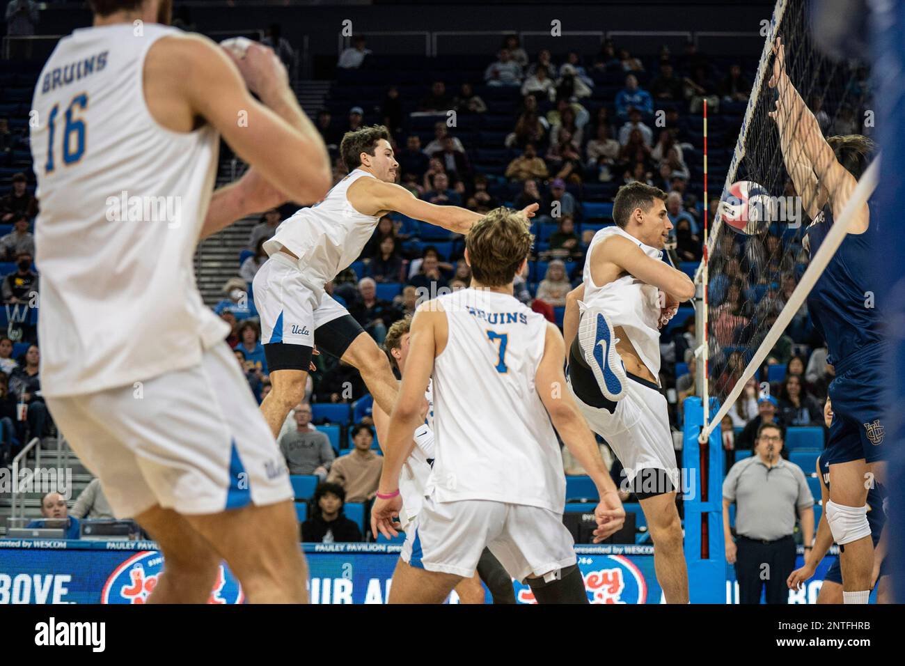 UCLA Bruins outside hitter Ethan Champlin (20) during a NCAA volleyball