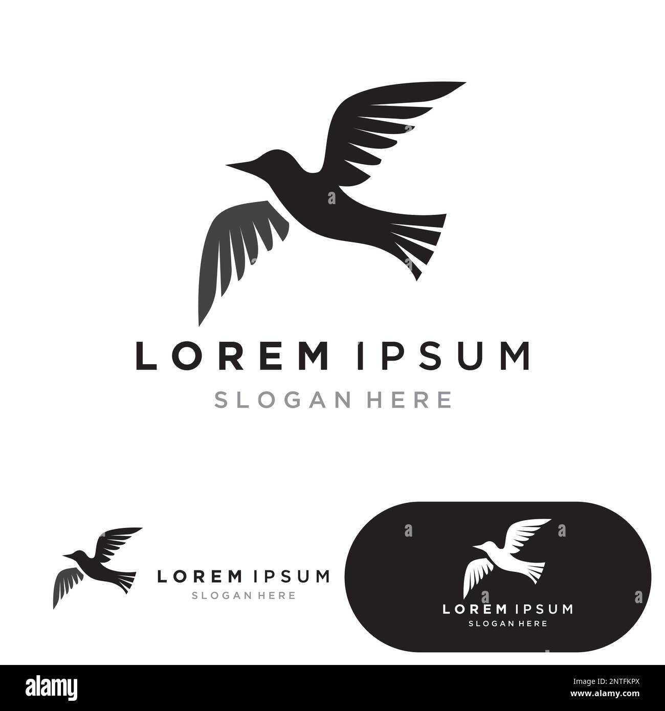 bird logo vector icon design template Stock Vector Image & Art - Alamy