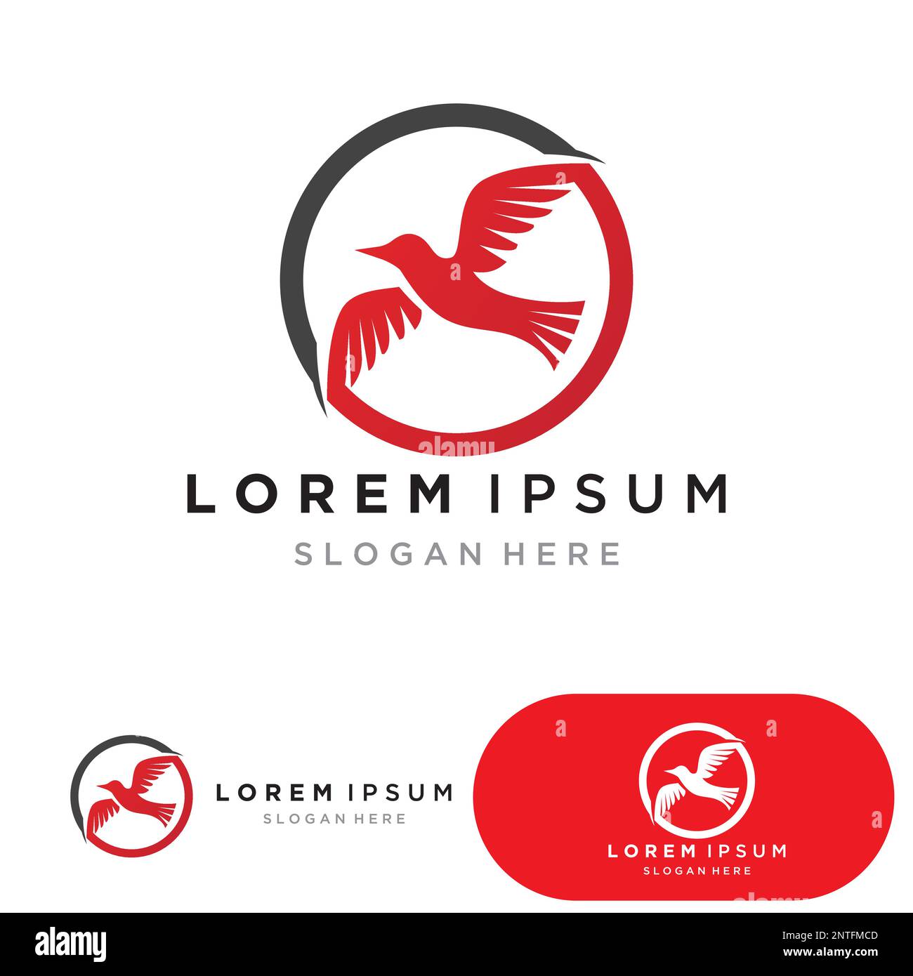 bird logo vector icon design template Stock Vector Image & Art - Alamy
