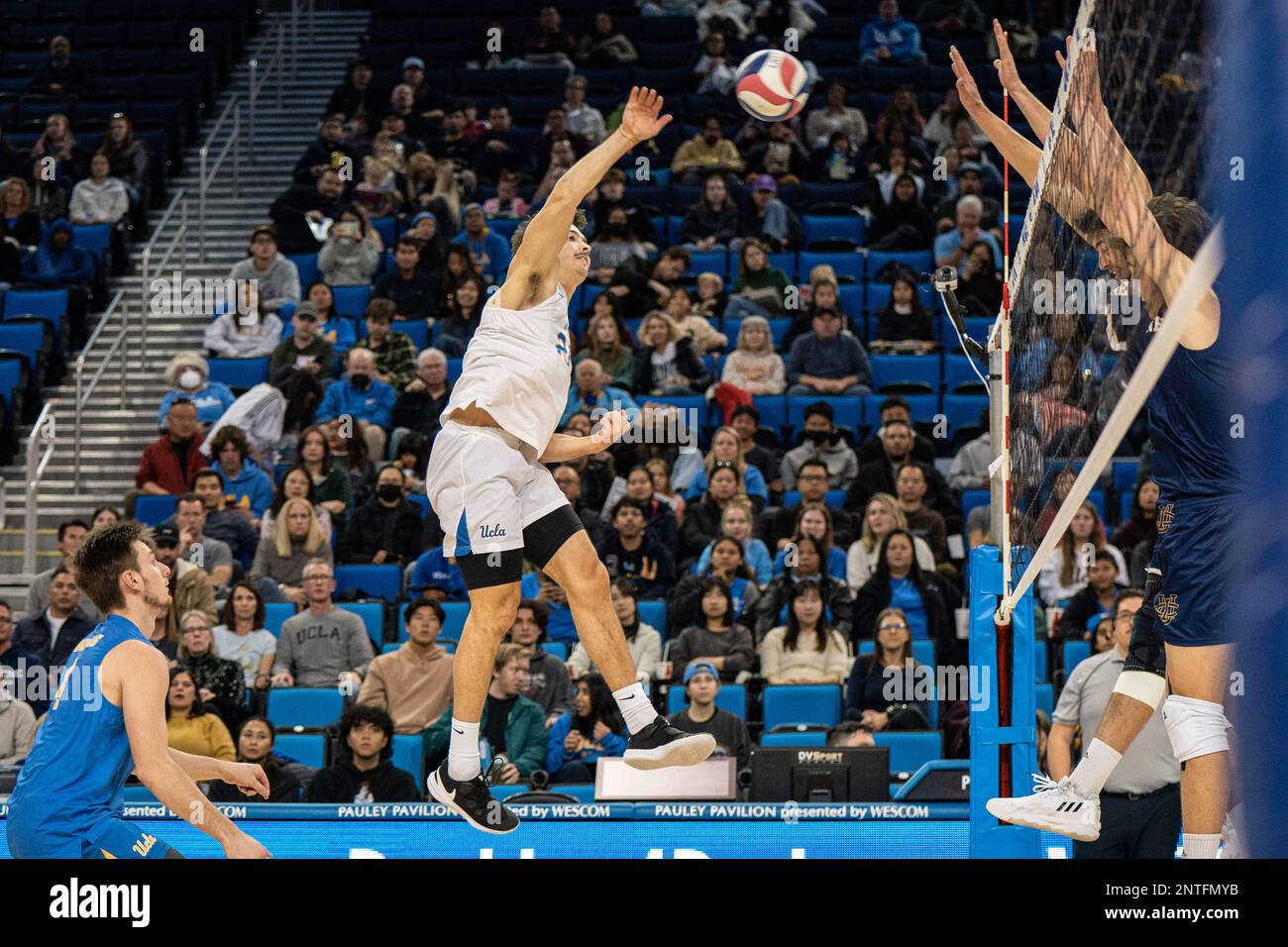 UCLA Bruins outside hitter Ethan Champlin (20) during a NCAA volleyball