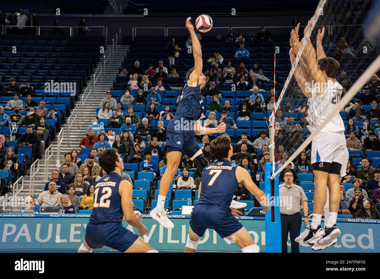 UCI Anteaters middle blocker Connor Campbell (17)  during a NCAA volleyball match against UCLA Bruins, Saturday, February 26, 2023, at Pauley Pavilion Stock Photo