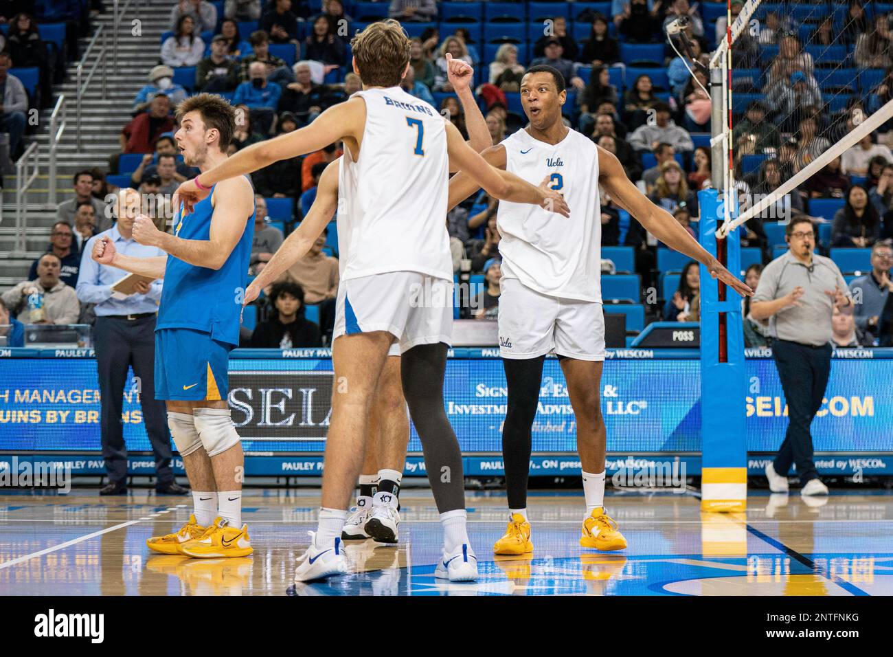 UCLA Bruins middle blocker J.R. Norris IV (2) during a NCAA volleyball match against UCI Anteaters, Saturday, February 26, 2023, at Pauley Pavilion, i Stock Photo