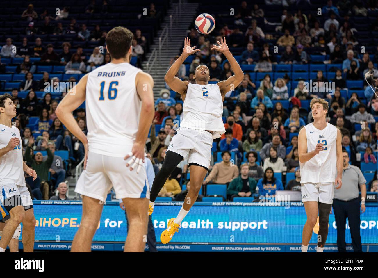 UCLA Bruins middle blocker J.R. Norris IV (2) during a NCAA volleyball match against UCI Anteaters, Saturday, February 26, 2023, at Pauley Pavilion, i Stock Photo