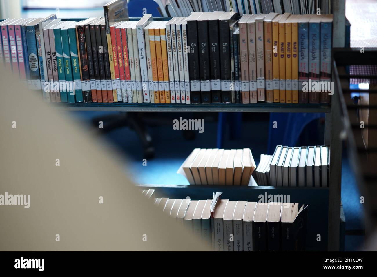 Various learning books arranged on a shelf in the school library Stock
