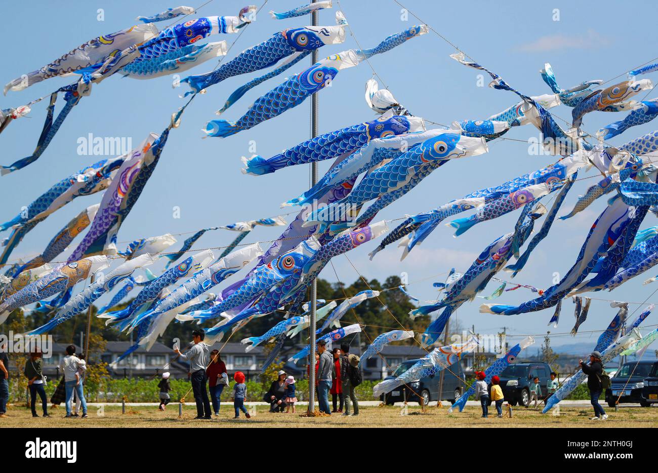 Blue carp streamers are raised with the memorial services of children