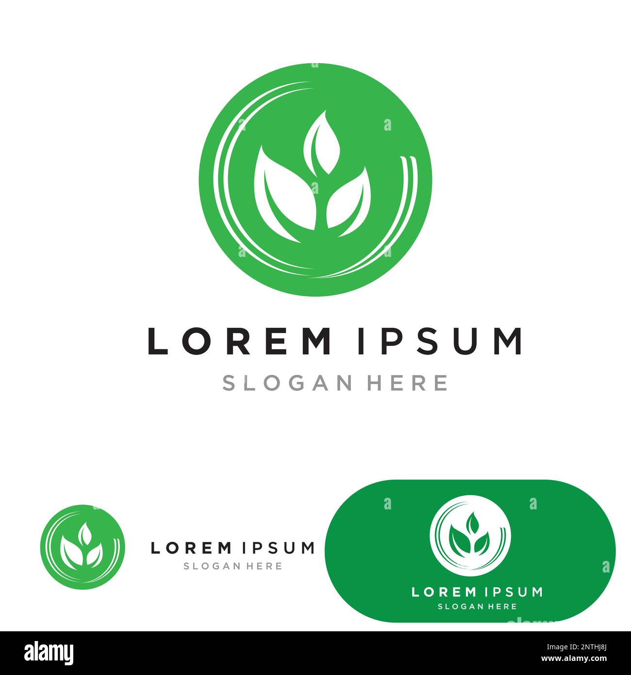 Leaf green ecology logo nature fresh Stock Vector Image & Art - Alamy